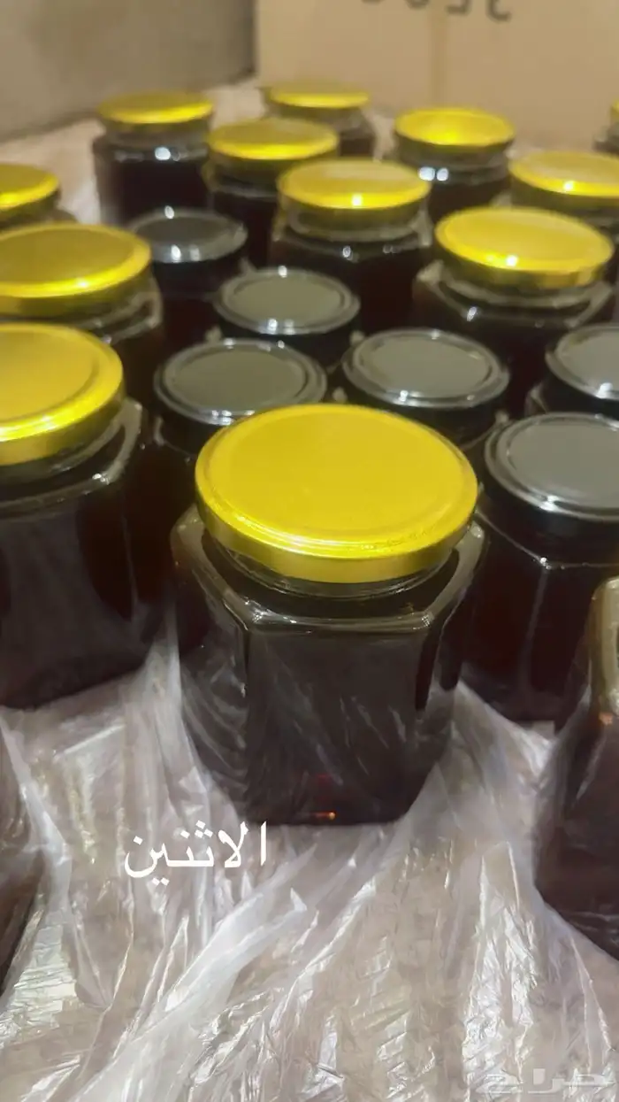 عسل طلح طبيعي 100 100 طلح حايل 1