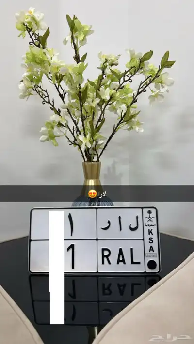 لوحة لارا) مباع 0