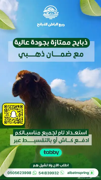 ذبايح تقسيط 0