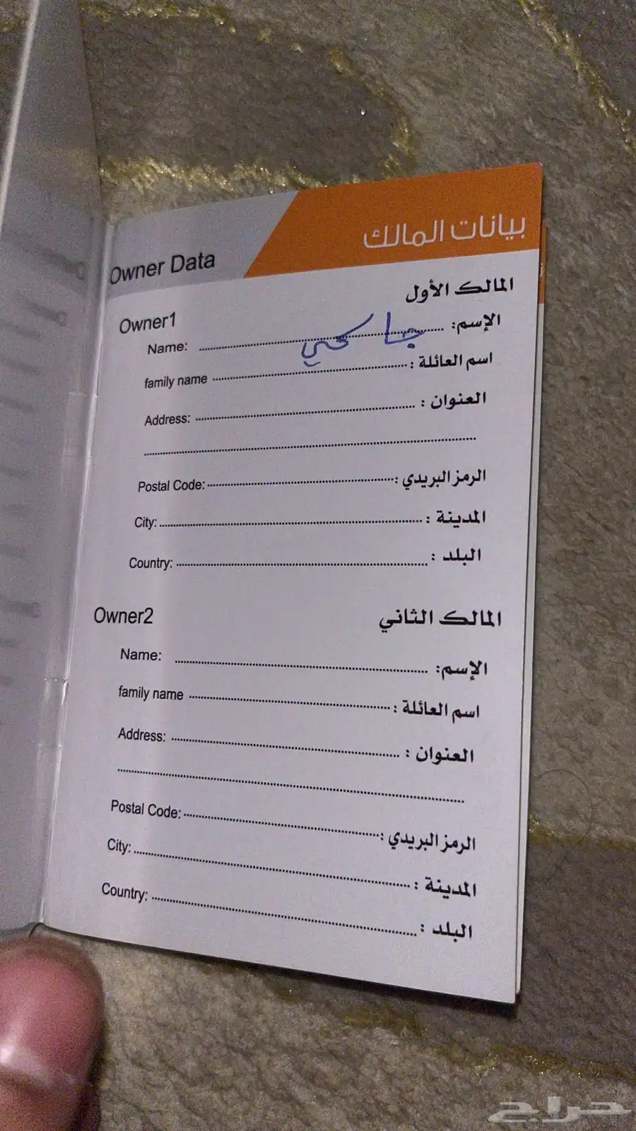 كلب شيتزو للبيع index