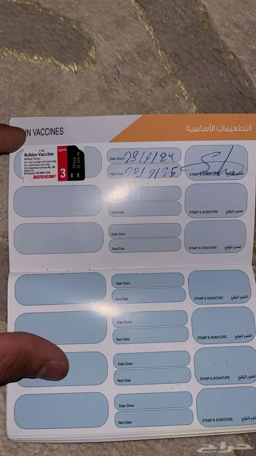كلب شيتزو للبيع index