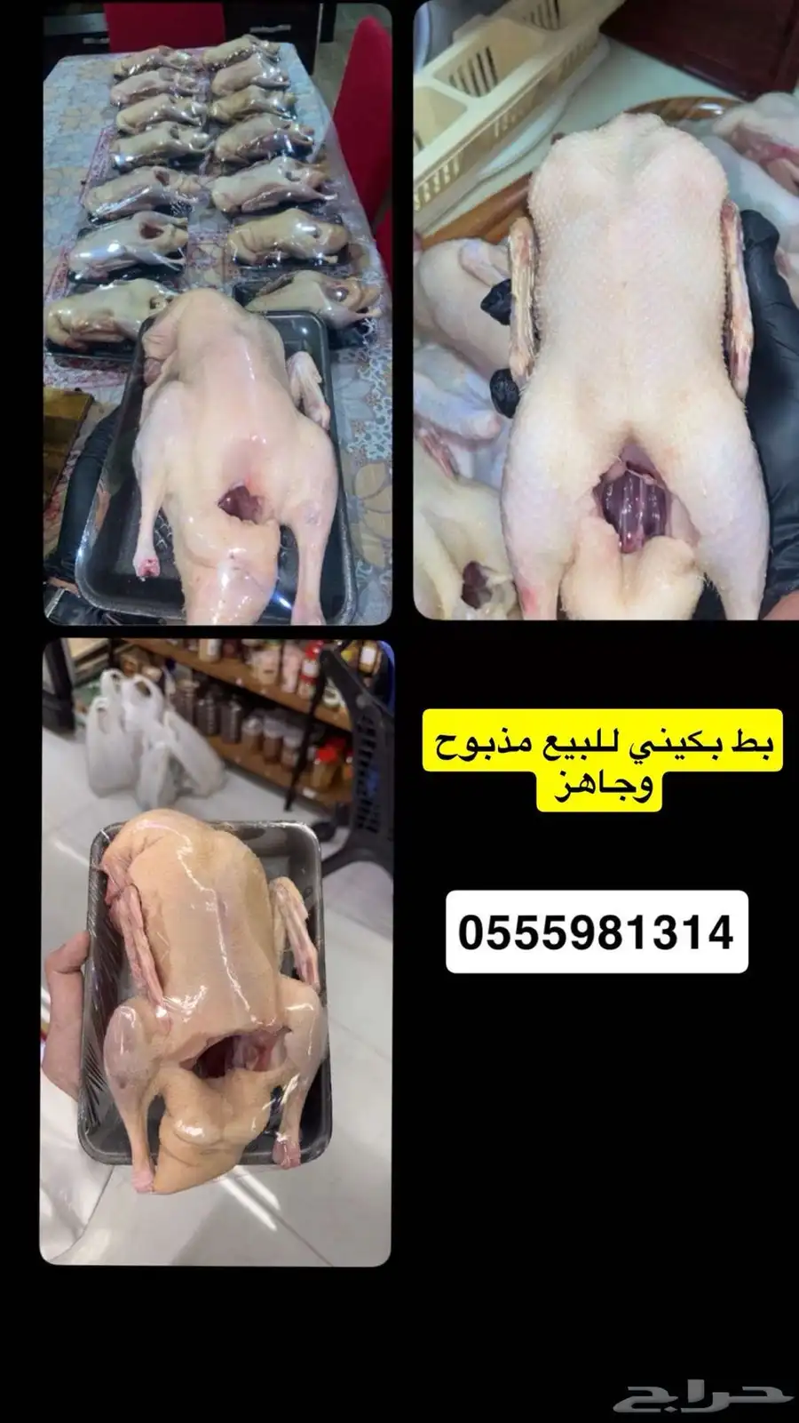 بط بكيني مذبوح وجاهز 0