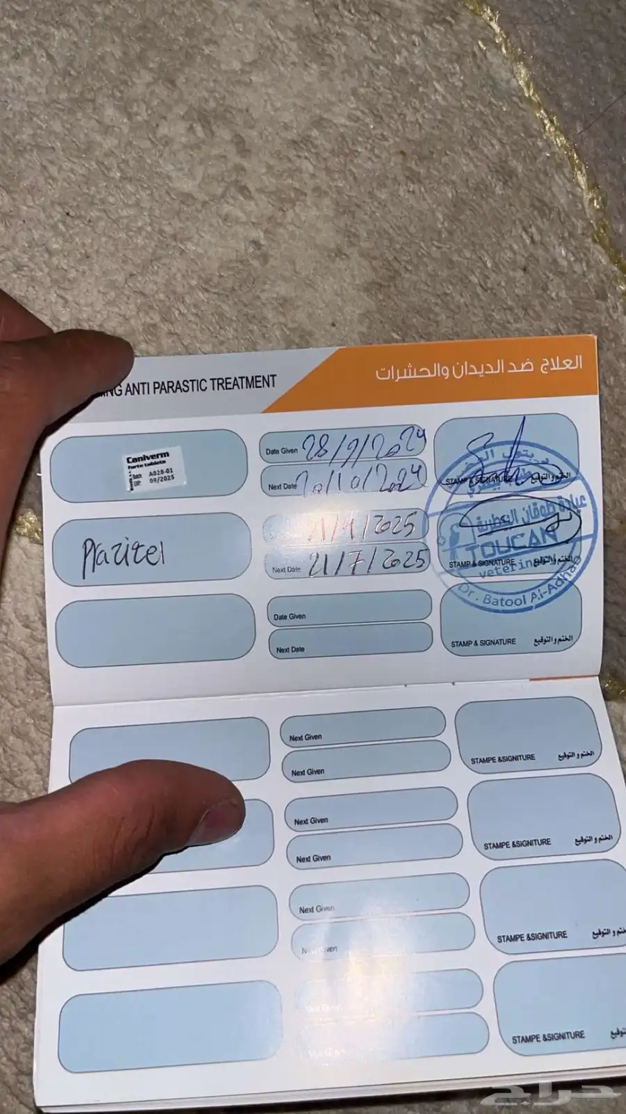 كلب شيتزو للبيع index