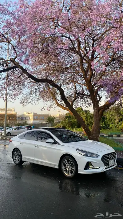 سوناتا 2019 8