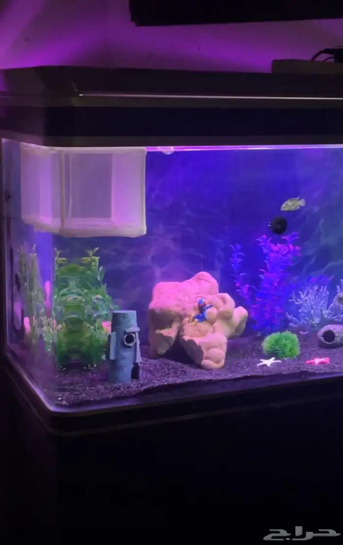 حوض سمك جيبو JEBO 1