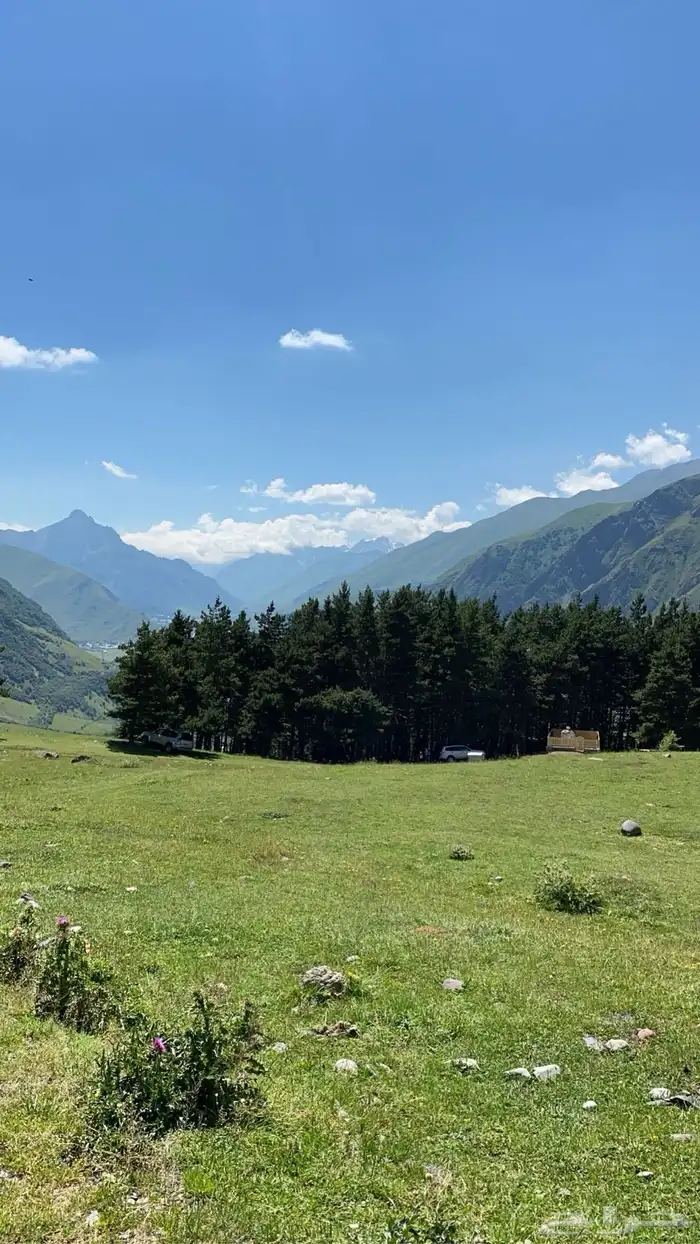 شركة المري للسفر والسياحة في جورجيا 15