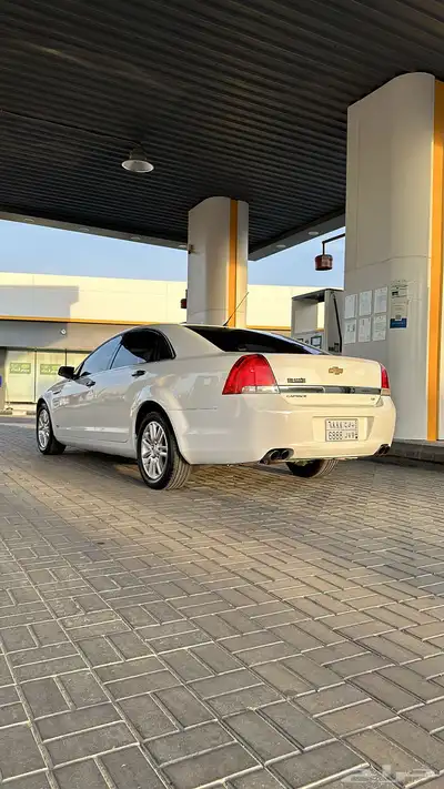 كابرس2013 8