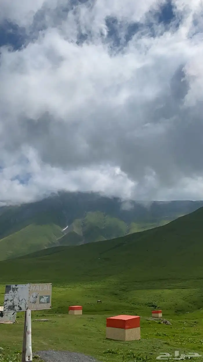 شركة المري للسفر والسياحة في جورجيا 26