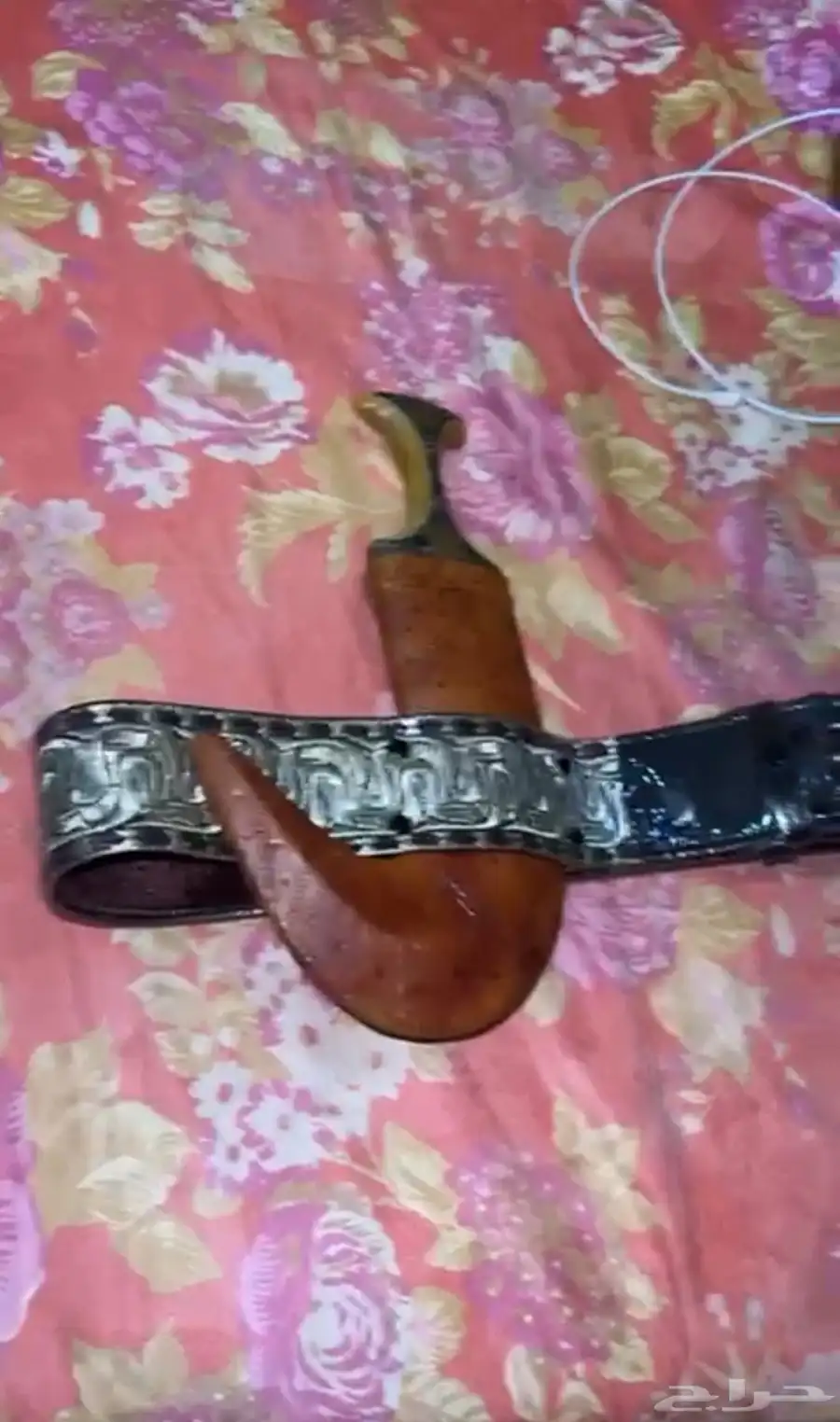 جنبيه للبيع 0