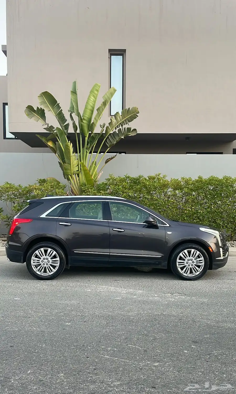 كاديلاك XT5 سعودي نظيف 4