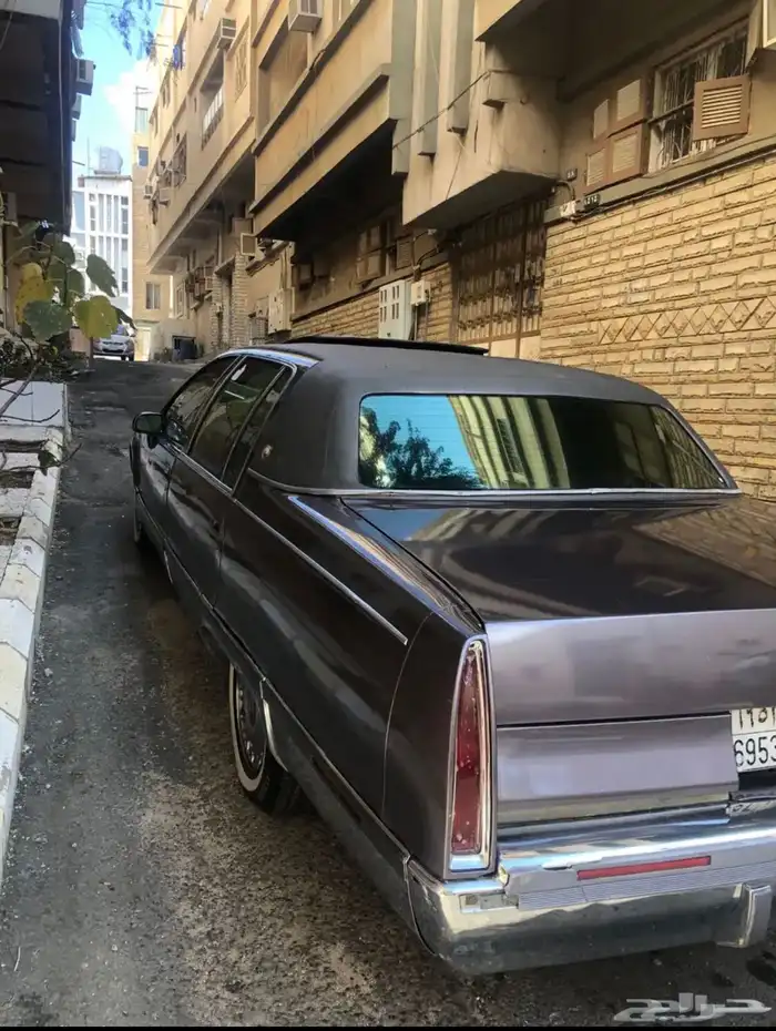 كدلك 94 1