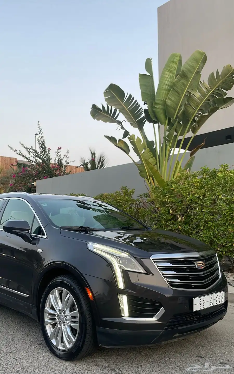 كاديلاك XT5 سعودي نظيف 3
