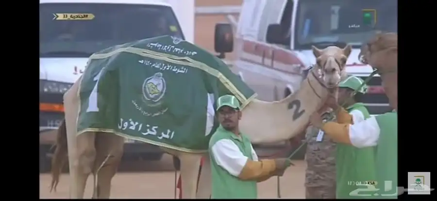 فحل شاهين صاحب سياره الجنادريه من 19 كيلو 7
