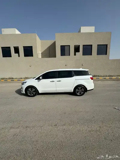 كرنفال 2020 نظيف 1