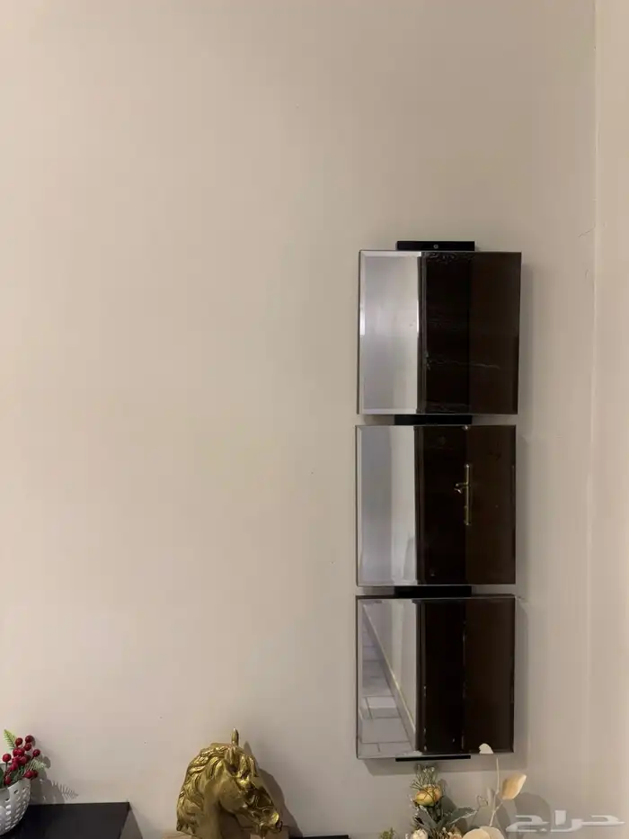 مدخل مرايا مع أرفف 3