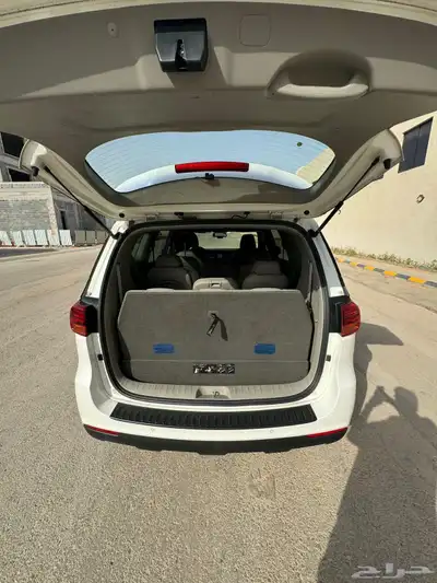 كرنفال 2020 نظيف 11