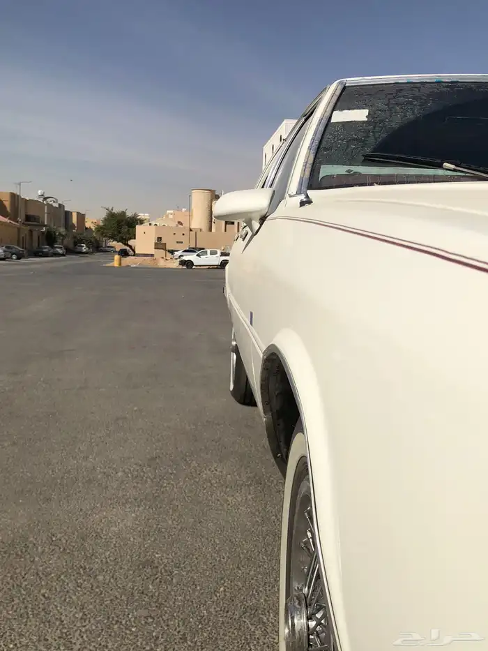 كابرس 87 ربع تندة 3