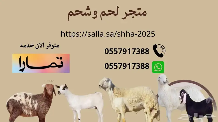 الذبايح وسيوله على اربع دفعات 0