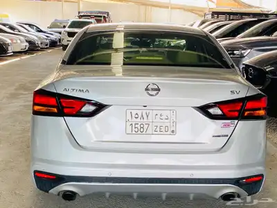 نسيان التيما 2019 7