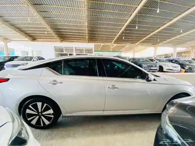 نسيان التيما 2019 3