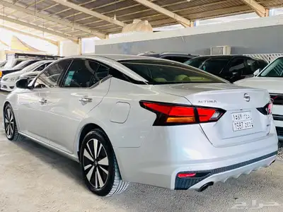 نسيان التيما 2019 6