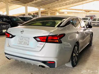 نسيان التيما 2019 5