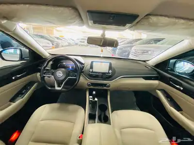 نسيان التيما 2019 9