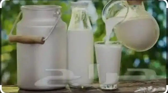 البان وحليب سمن مزرعه الزين 2