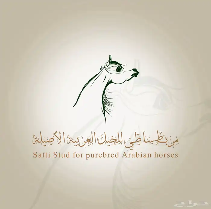 متوفر لدينا ايواء خيل في ديراب ( وتجهيز خيل الشو ) 9