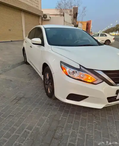 التيما 2017 اول مستخدم 3