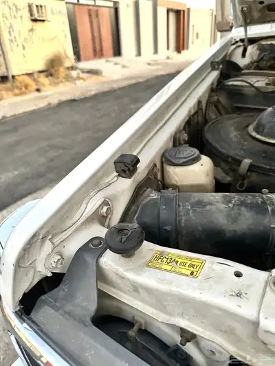 جيب فيبر بودي بلد 2002 10
