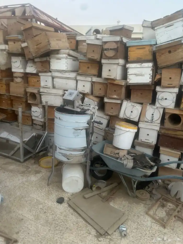 مناحل عسل بجميع اغراضها 14