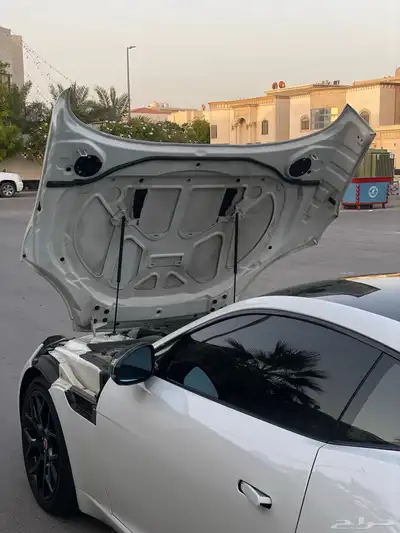 جاكور F تايب قمه في النظافه 25