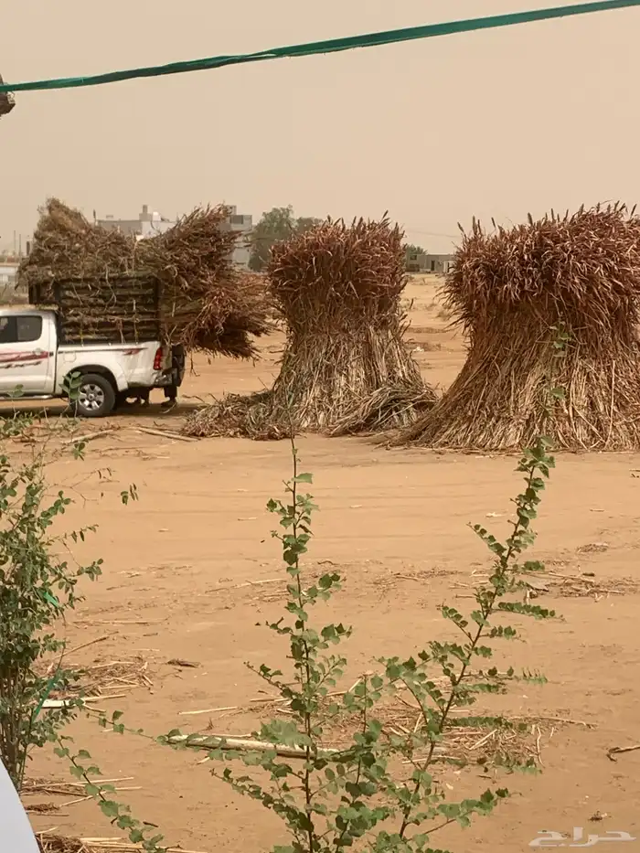 للبيع علف مزارع جديد 6