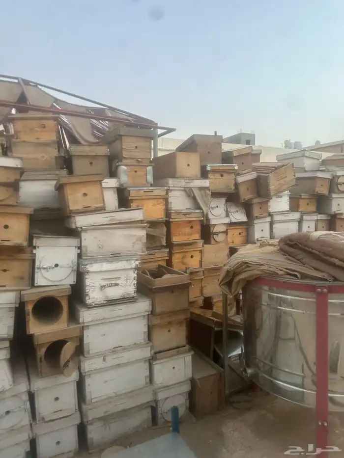 مناحل عسل بجميع اغراضها 11