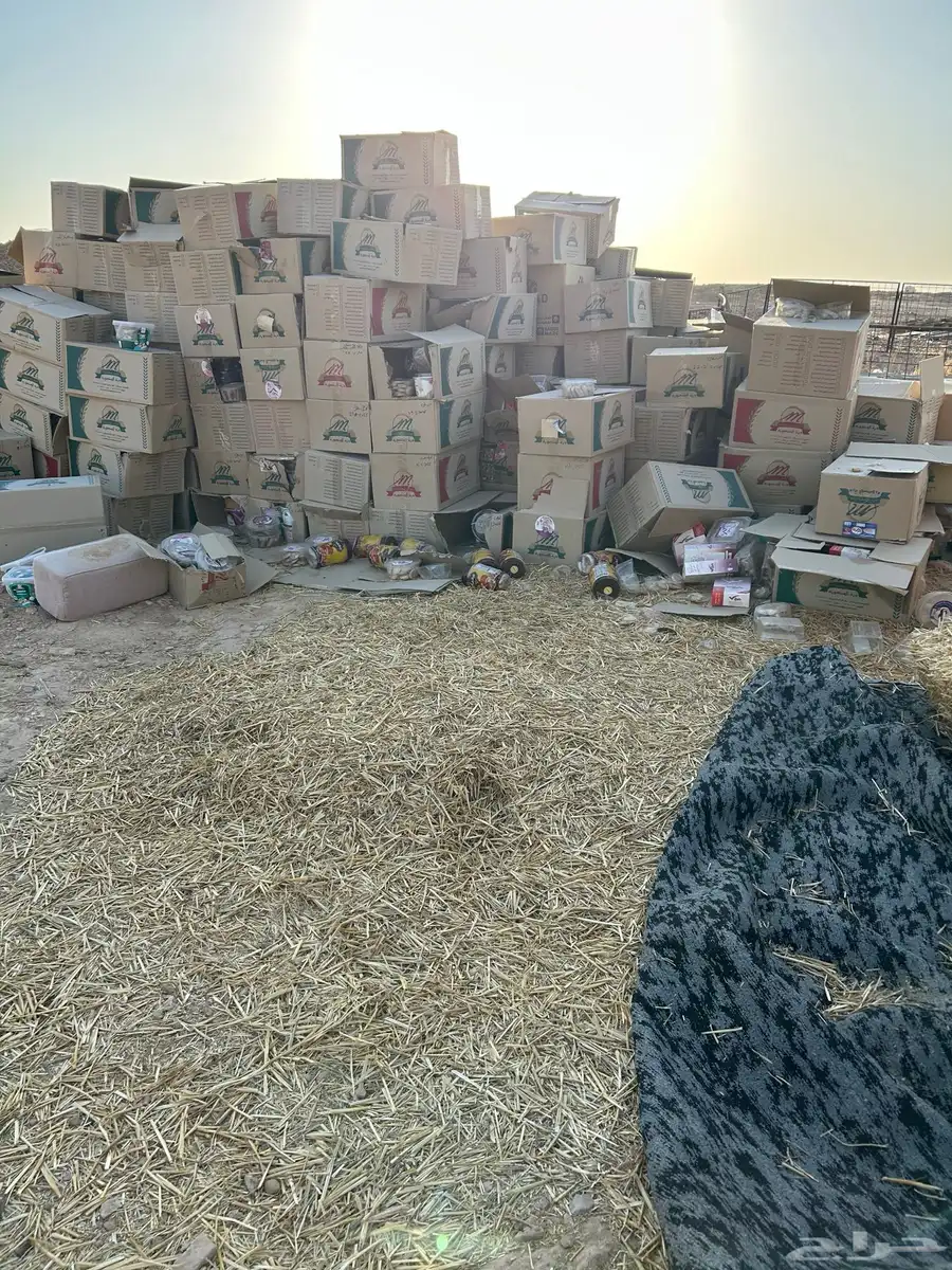 علف بسكوت بأنواع البسكوت العدد تقريبا من 250 إلى 350 2