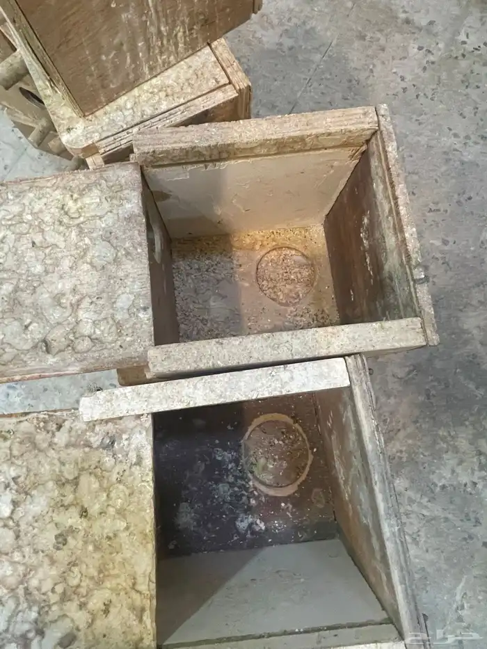 بيضات تصلح حق طيورحب ولقولدن وجاووزوبراوغيرهامن طيور صغيره 4