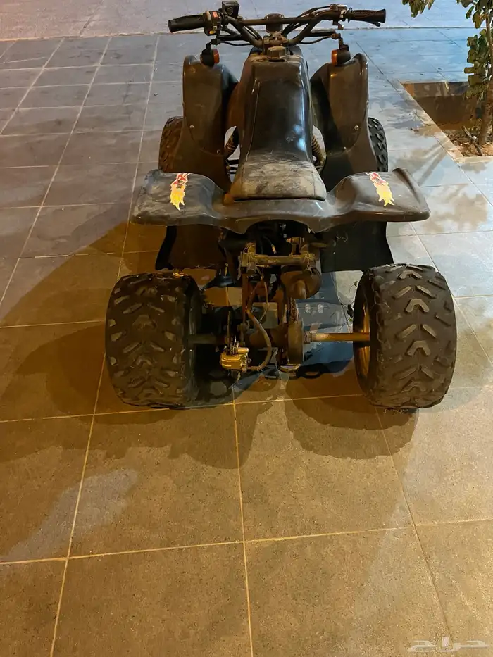 دباب 6