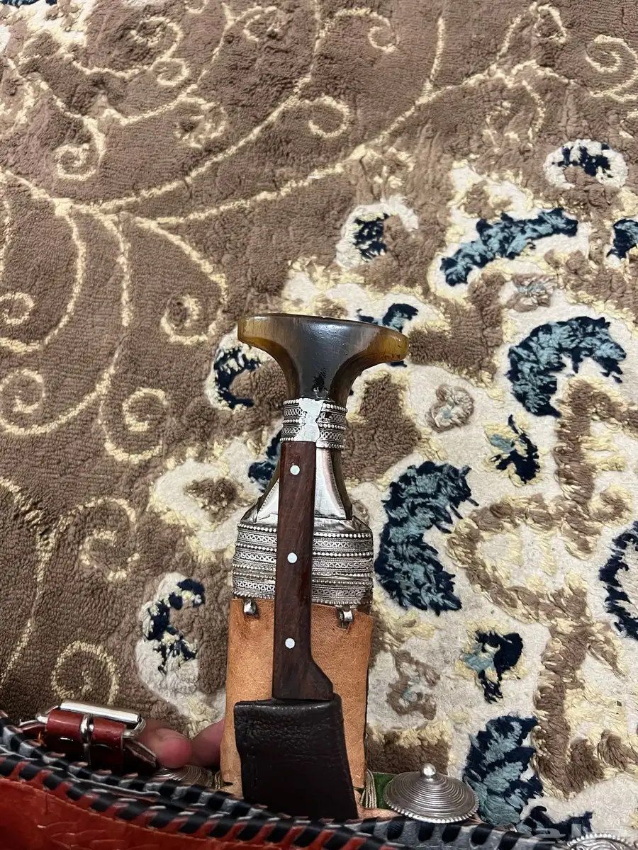 جنبيه زراف قديمه مضمونه كفو 1