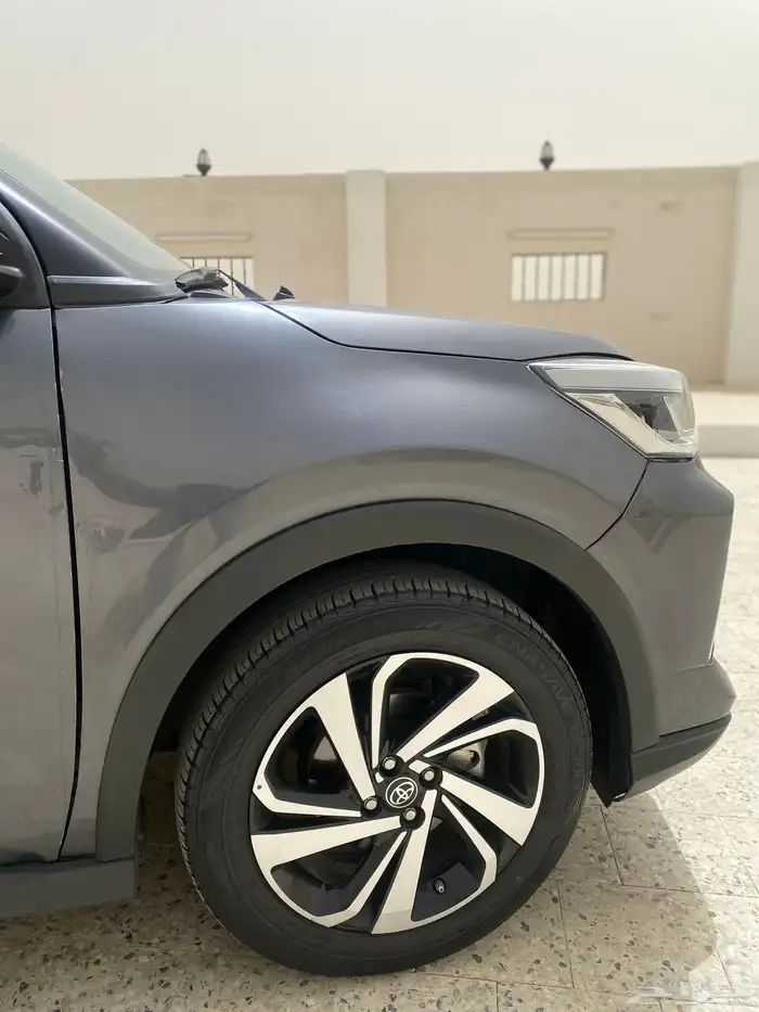 رايز 2023 3