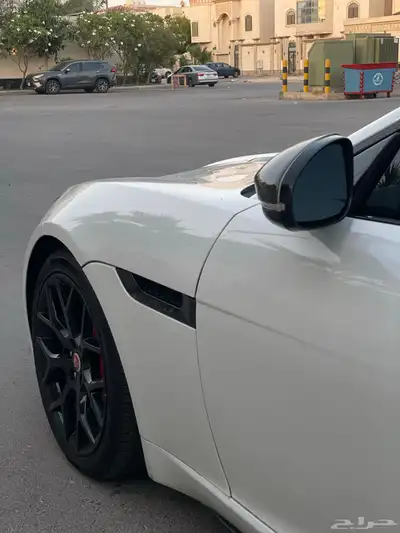جاكور F تايب قمه في النظافه 9