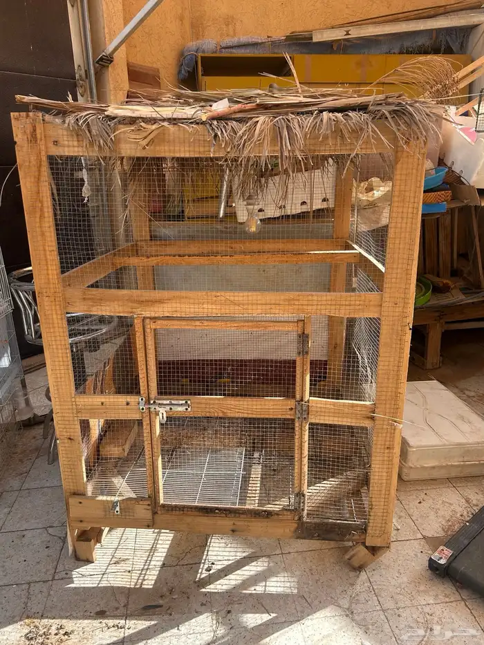 شبك طيور او دجاج 0