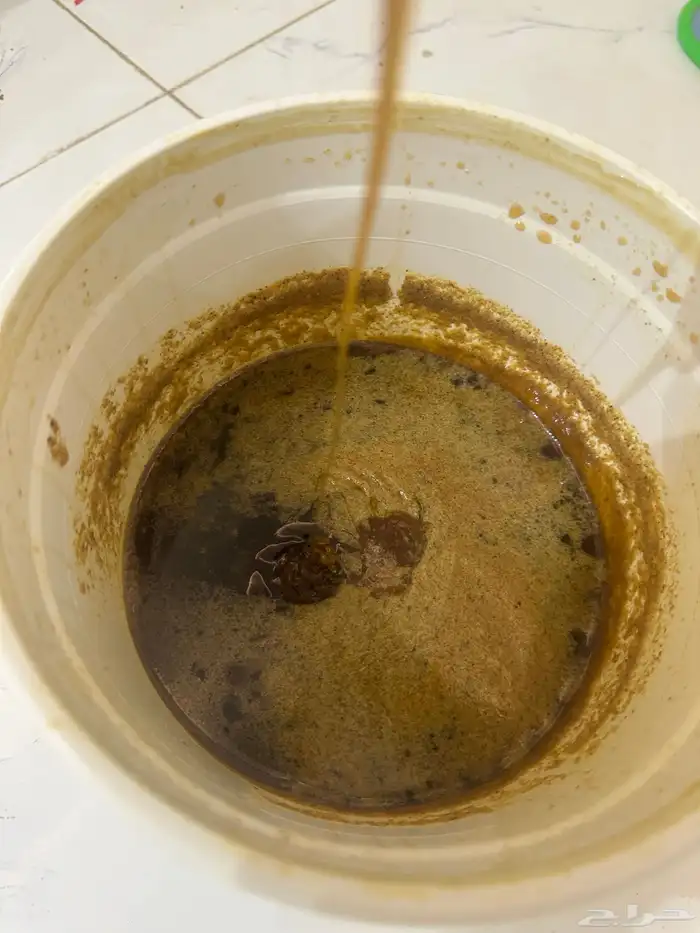 عسل طلحت باشوت 1