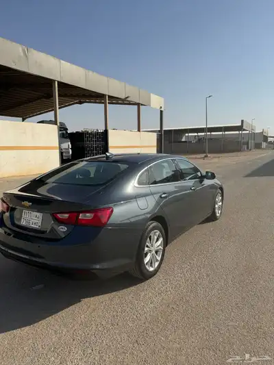 ماليبو 2021 شرط مالك اول 1