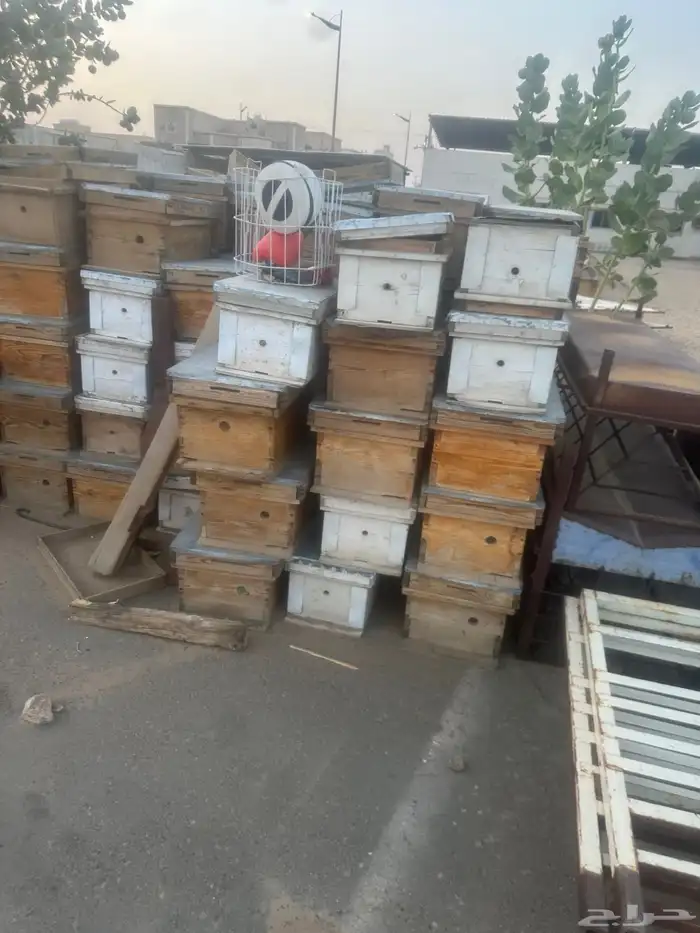 مناحل عسل بجميع اغراضها 21