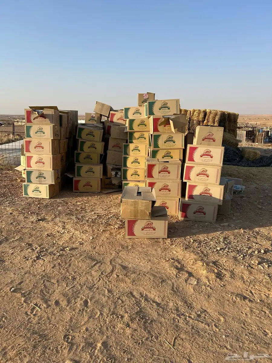 علف بسكوت بأنواع البسكوت العدد تقريبا من 250 إلى 350 1