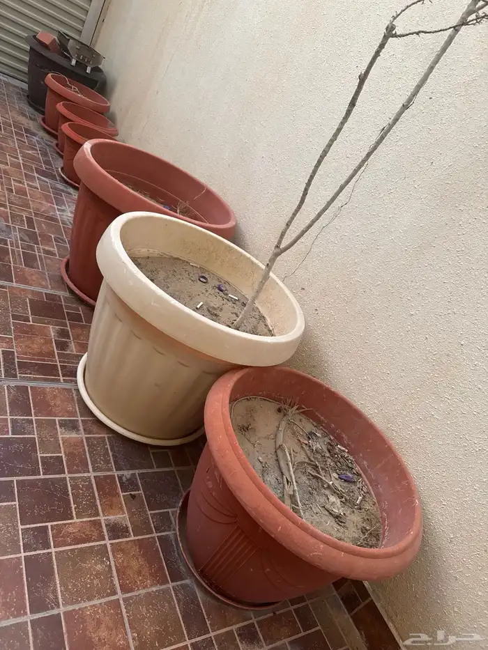 احواض زراعة 0