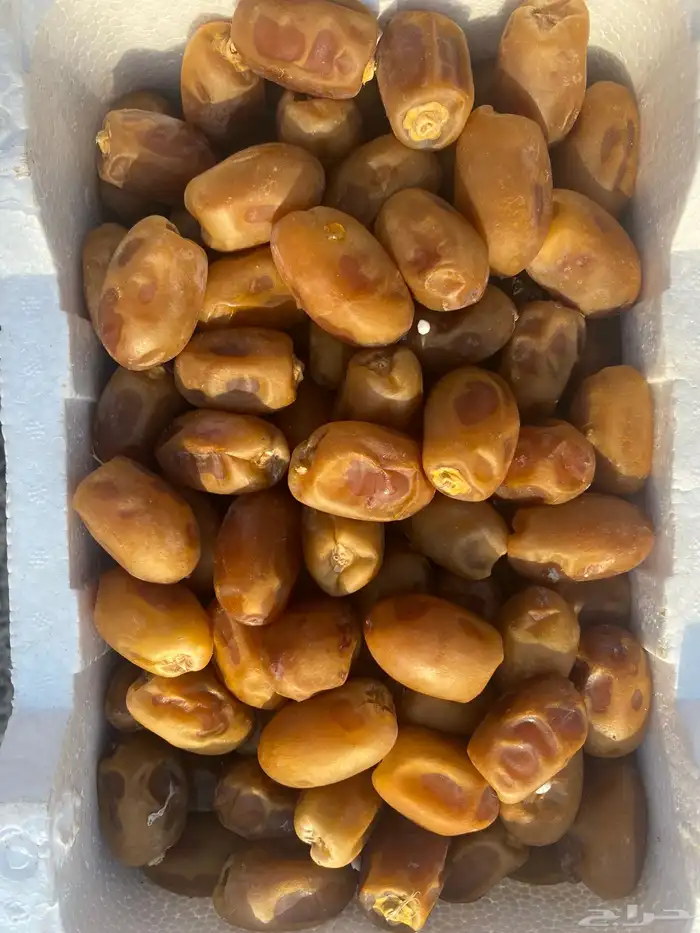 رطب متمر ( للحلا و العصير) 0