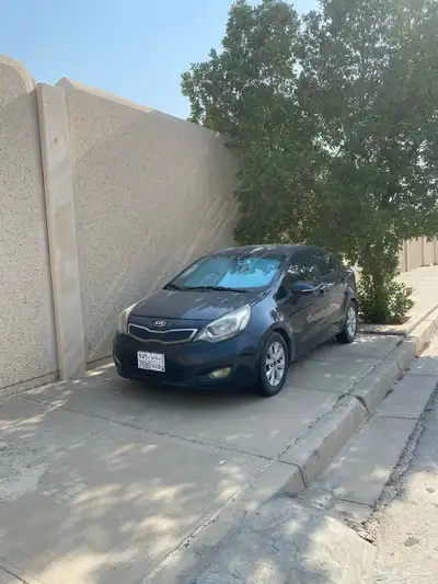 ريو 2013 1