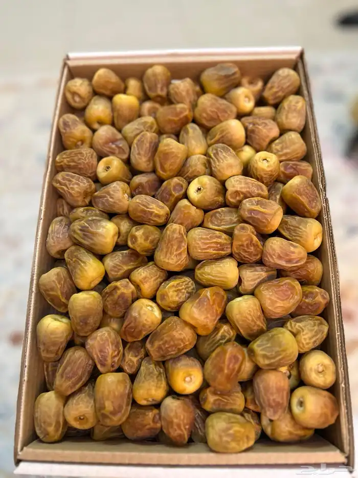 تمر سكري مفتل وجالكسي 0